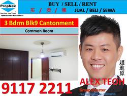 Blk 9 Cantonment Close (Bukit Merah), HDB 4 Rooms #163571092